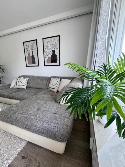 Schick, Gemuetlich & Naehe Therme Bad Lippspringe Bagian luar foto